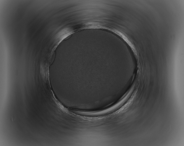 X0000088461289200705221335