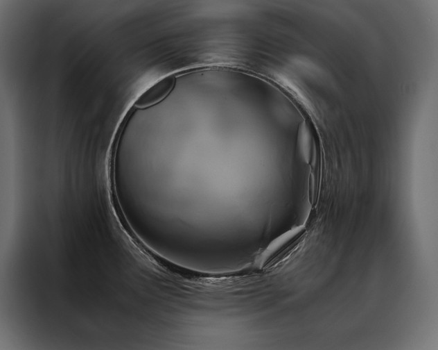 X0000088461291200705221335