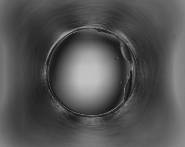 X0000088461292200705221335