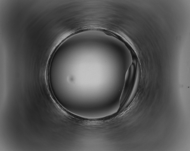 X0000088461293200705221335