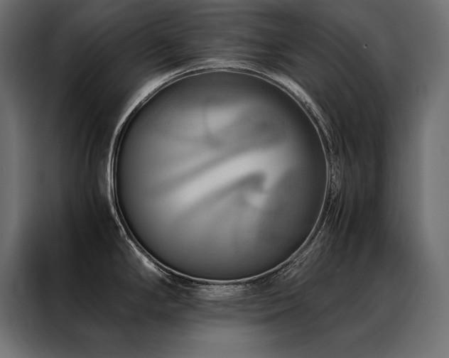 X0000088461294200705221335