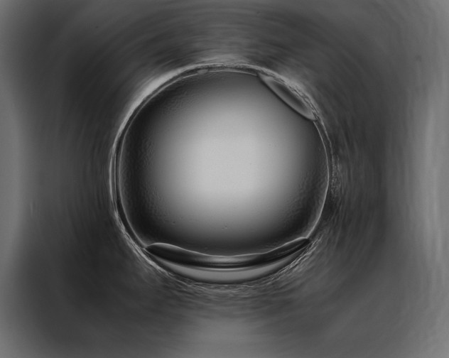 X0000088461295200705221335