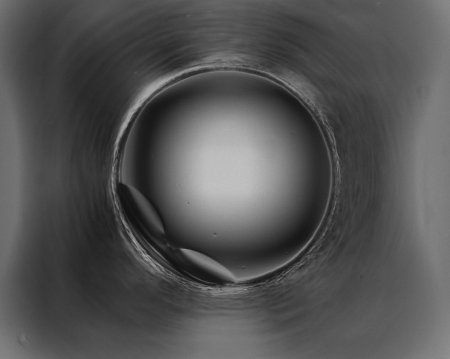 X0000088461296200705221335