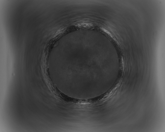 X0000088461297200705221334