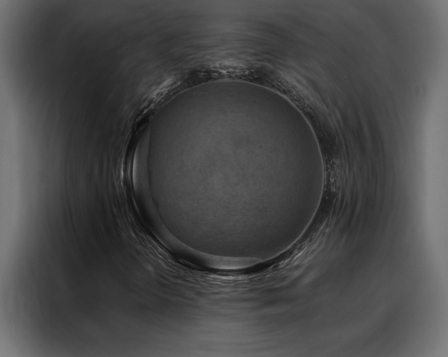 X0000088461298200705221334