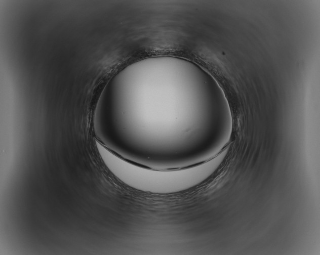 X0000088461300200705221334