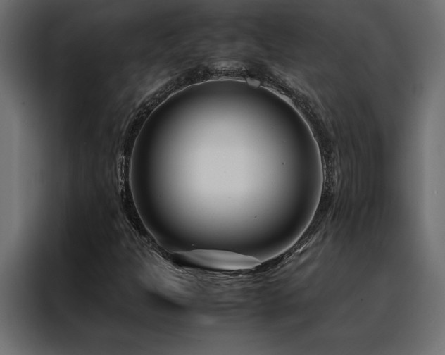 X0000088461301200705221334