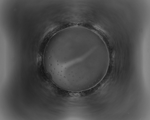X0000088461302200705221334