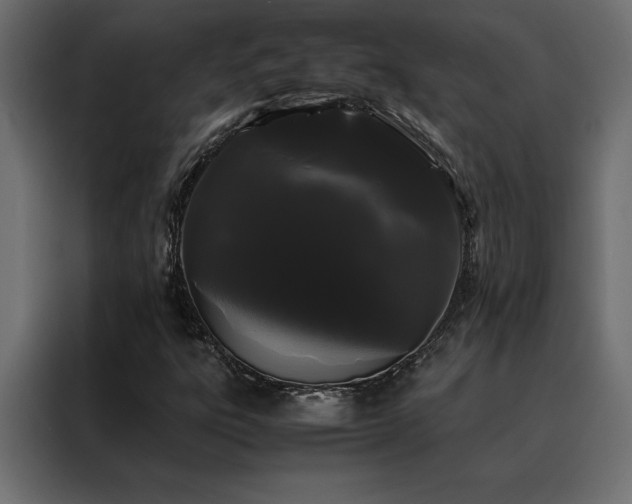 X0000088461303200705221334