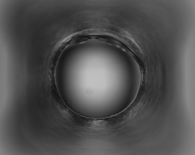 X0000088461304200705221334