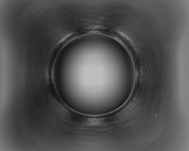 X0000088461305200705221334