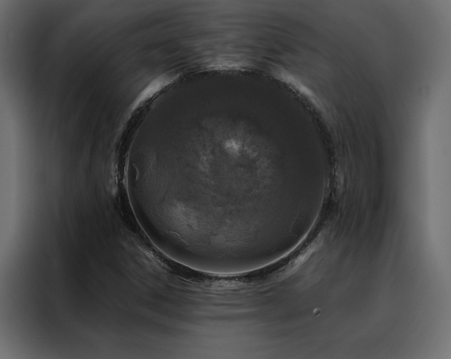X0000088461306200705221334