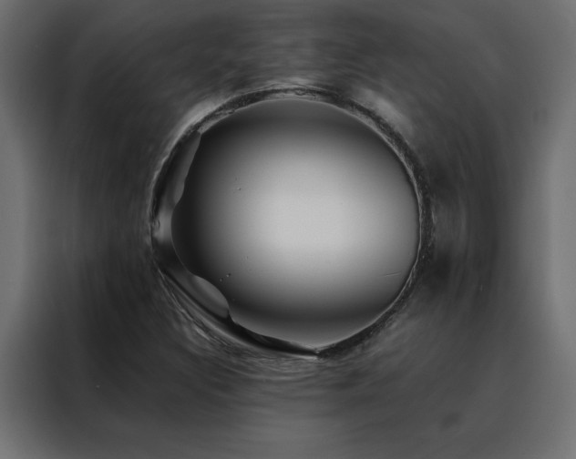 X0000088461308200705221334