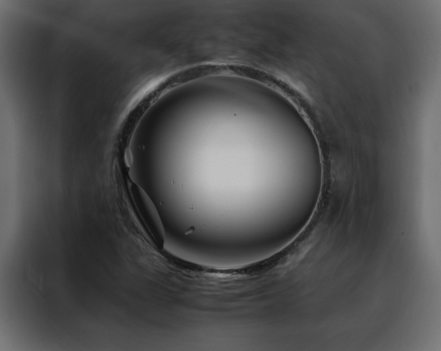 X0000088461311200705221334