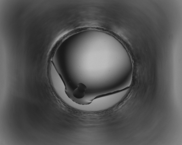 X0000088461312200705221334