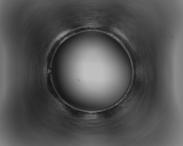 X0000088461315200705221334