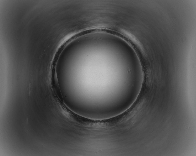 X0000088461316200705221334