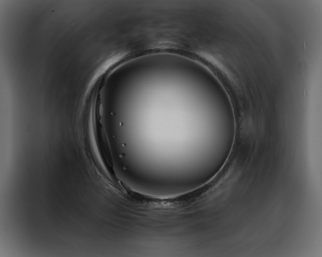 X0000088461317200705221334