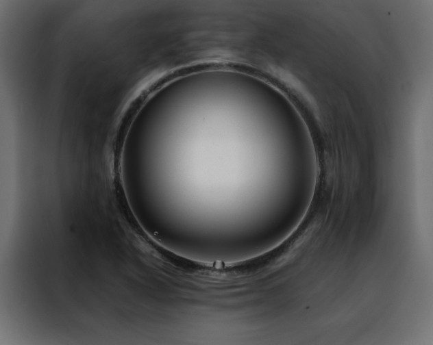 X0000088461318200705221334