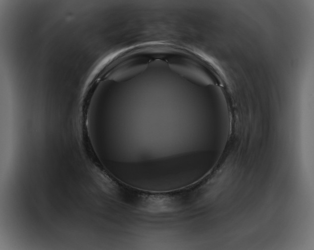 X0000088461319200705221334