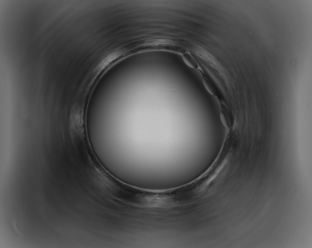 X0000088461321200705221335