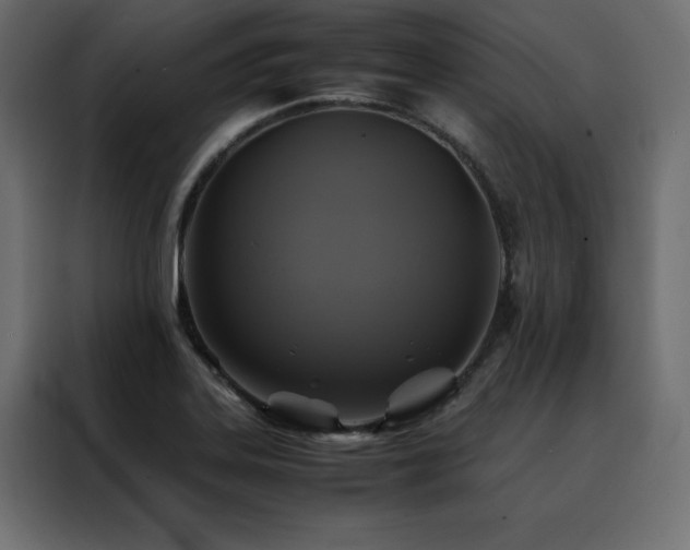 X0000088461323200705221335