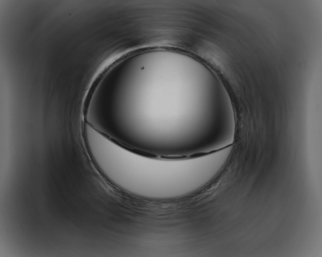 X0000088461324200705221335
