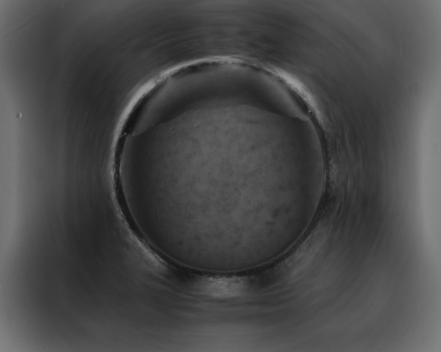 X0000088461327200705221335