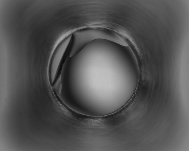 X0000088461328200705221335