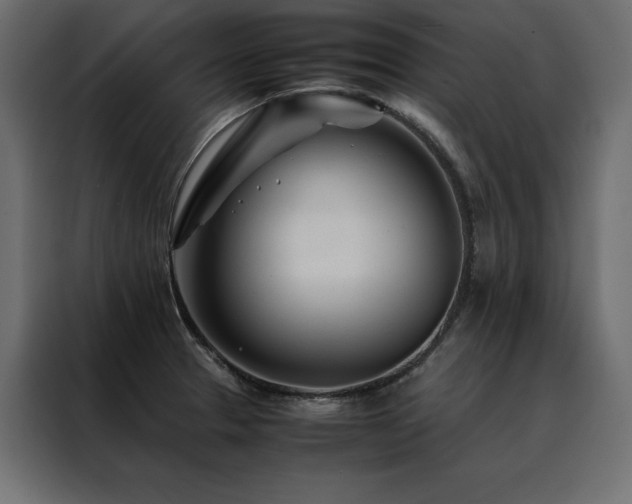 X0000088461329200705221335