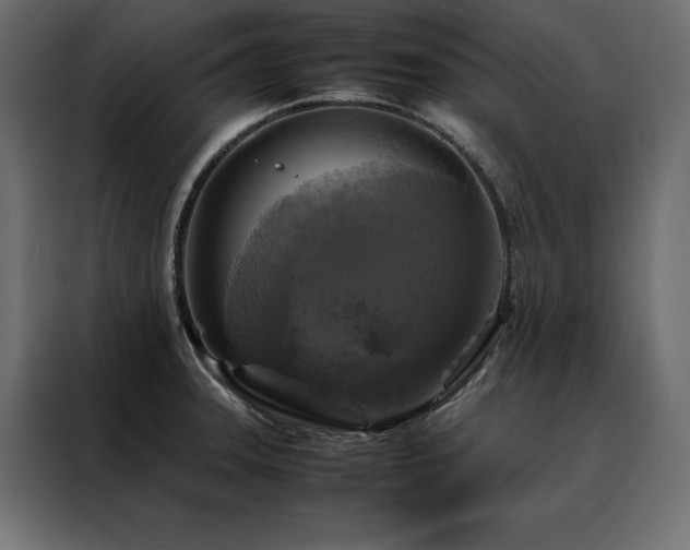 X0000088461331200705221335