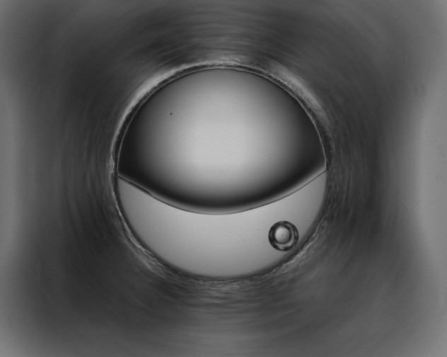 X0000088461332200705221335