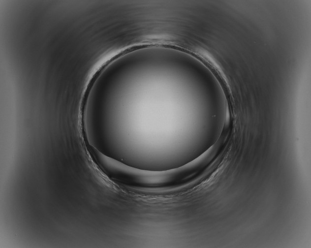 X0000088461336200705221335