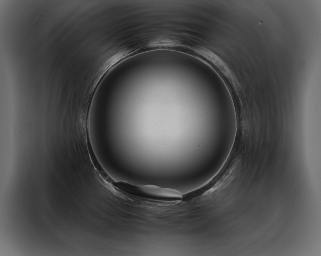 X0000088461337200705221335