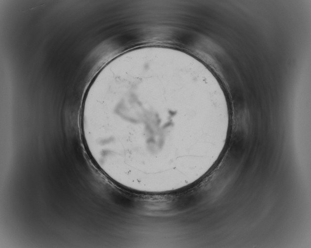 X0000088461338200705221335
