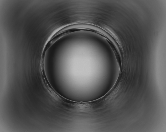 X0000088461340200705221335