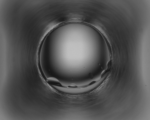 X0000088461341200705221335