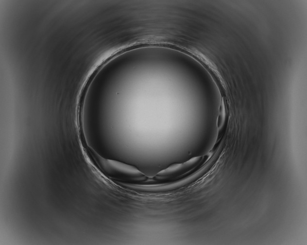 X0000088461342200705221335