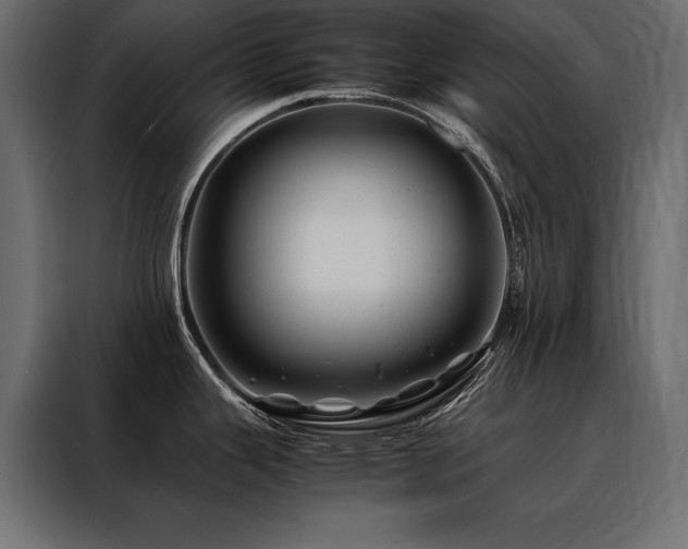 X0000088461343200705221335