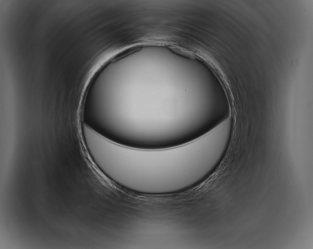X0000088461344200705221335
