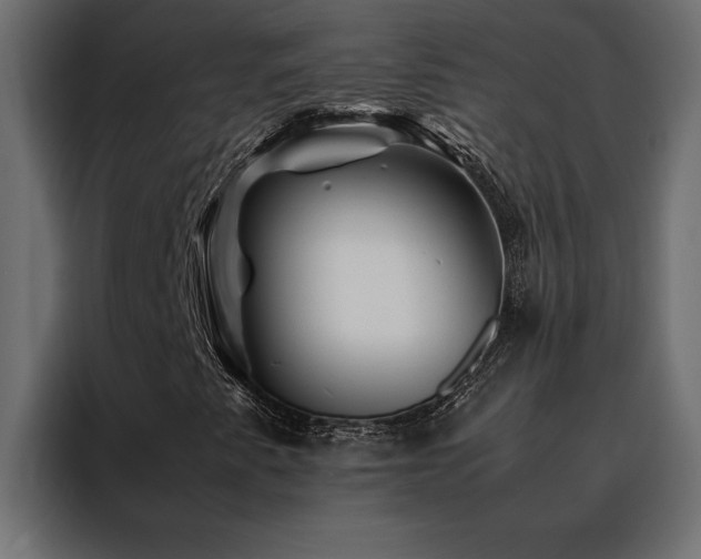 X0000088461345200705221334