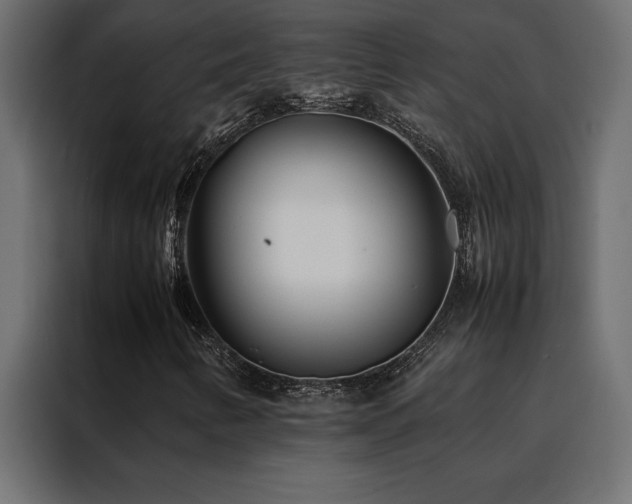 X0000088461346200705221334