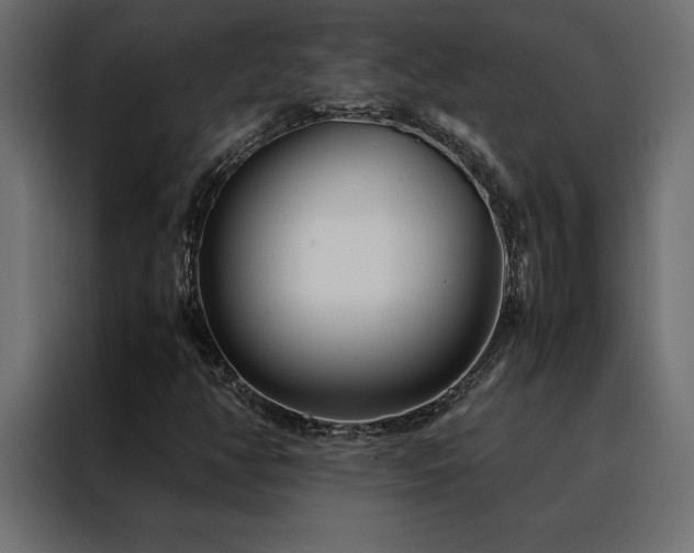 X0000088461350200705221334