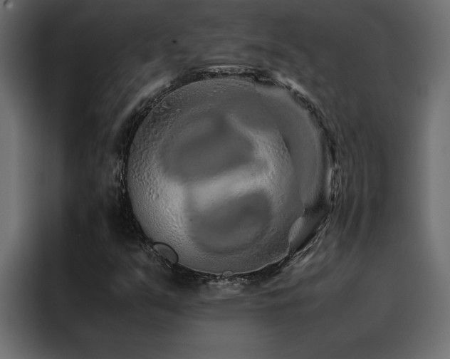 X0000088461351200705221334