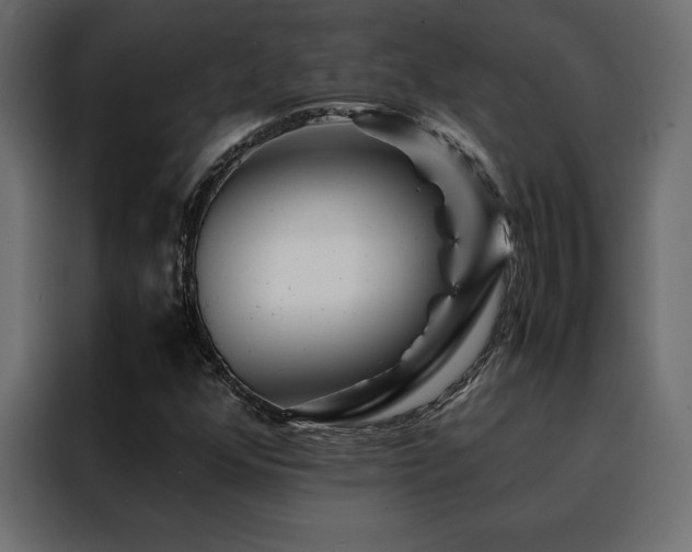 X0000088461352200705221334