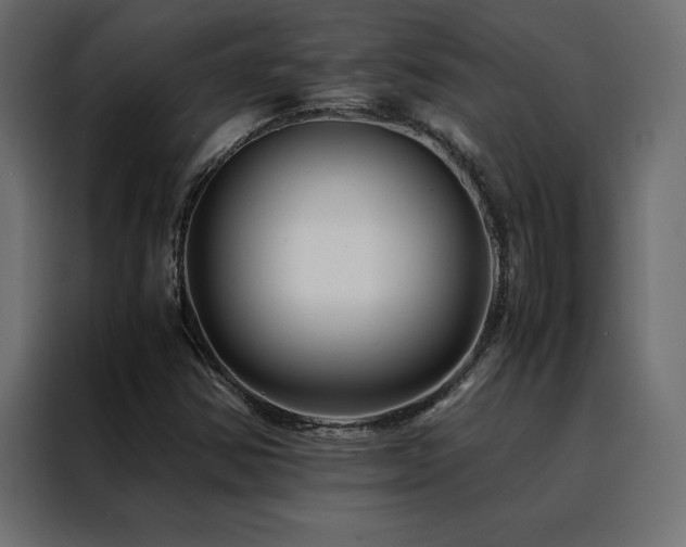 X0000088461354200705221334