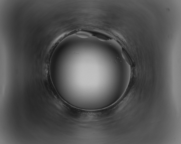 X0000088461355200705221334