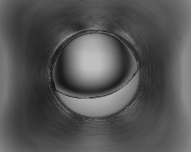 X0000088461356200705221334