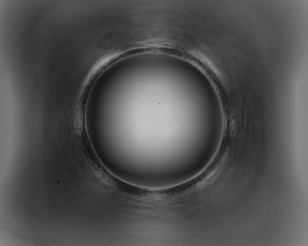 X0000088461358200705221334