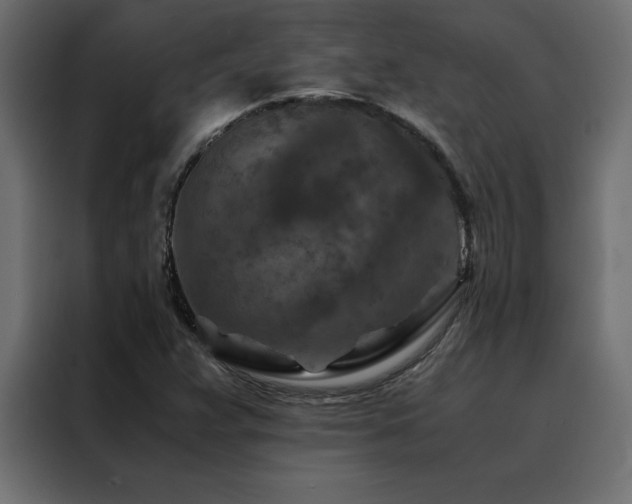 X0000088461359200705221334